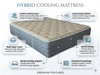 American Rapture Cooling Medium Mattress