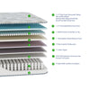 Intimate™ Plush Mattress