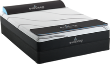 Load image into Gallery viewer, Evolution Mattress - Sealy Certified-Pure Foam® - Available in 8&quot;, 10&quot;, 12&quot;, 14&quot;
