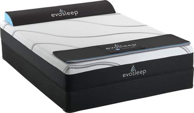 Evolution Mattress - Sealy Certified-Pure Foam® - Available in 8